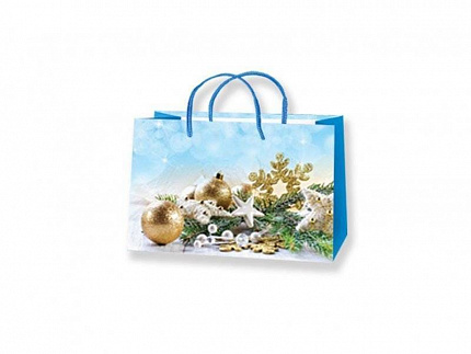 Пакет подарочный Антелла бумажный 24*18*10см (М)